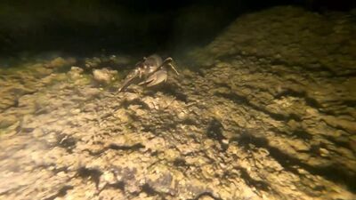 Карьер Пугарево, подводная съёмка, октябрь 2021 г.