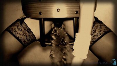 Винтажный шоу Playboy с Bunny Diva - бизнес-сучка