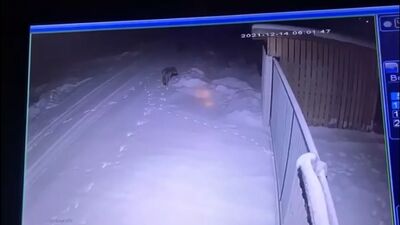 Video by ЖЕСТЬ ПО-АРХАНГЕЛЬСКИ «VIP»