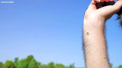 [Ламповый Джеймс] VLOG: Вернулся в ЛЕС - в поисках ОЧКОВ