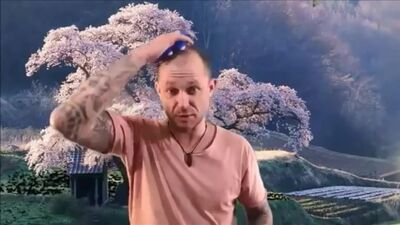 Почему седеют волосы и как убрать седину без окрашивания؟