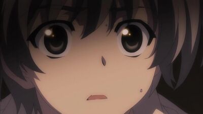 [11 серия] [Рус. Субтитры] Yosuga no Sora / Связанные небом / Одиночество на двоих