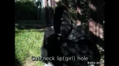 Горилла Майкл на языке жестов рассказывает о том, как его мать застрелили браконьеры