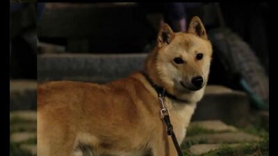 Тест на внимательность от Naver. Драма "Достойный своего имени".