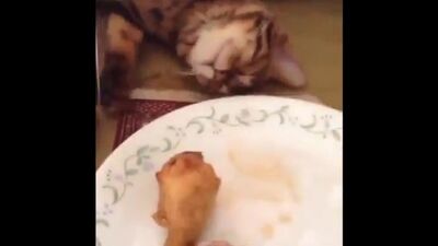 Главное притвориться спящим