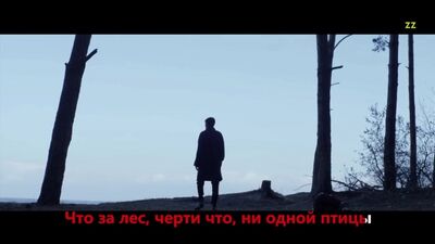 Если бы песня была о том что происходит в клипе ALEKSEEV Пьяное солнце Алексеев