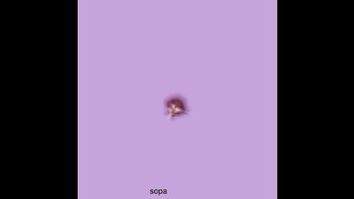 ↬identity v; patricia