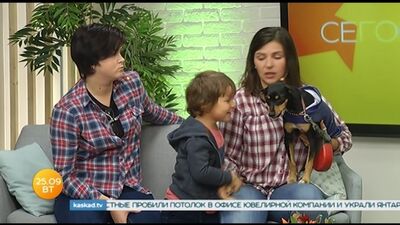 НТРК КАСКАД: В Калининграде пройдет благотворительный фестиваль "Рок в защиту животных"