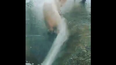 Попу мыть надо каждый день