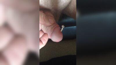 Обратный принц Albert 4-го калибра