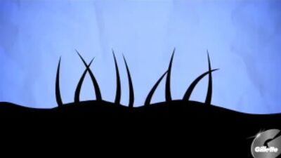 Как правильно брить пах. рекомендации от Gillette