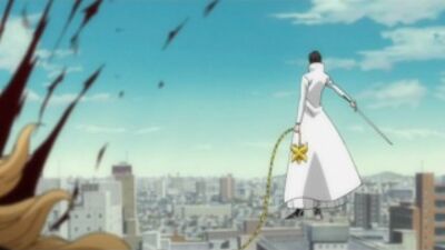 Блич (Bleach) - 293 серия