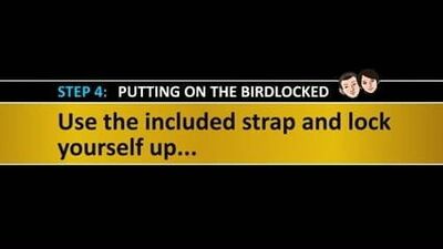 Подгонка устройства к поясу целомудрия у птицы