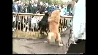 Собачьи бои Алабай против Добермана .