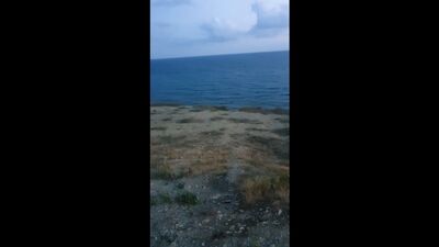 Live: АНОНИМНАЯ АНАПА