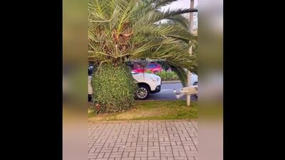 Шутка смешная, но ситуация страшная