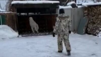 Я снова в гостях у сыночка Выпускник питомника Тимерташ Шик и Блеск (Тюмень) Вопросы по +79048881825 viber WhatsApp или на сайт