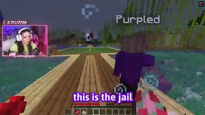 [Hannahxxrose] My first day on the Dream SMP...