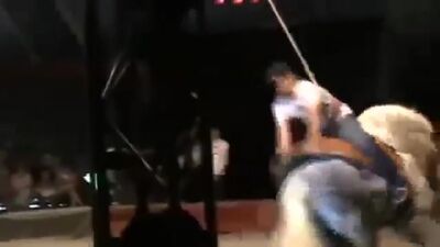 Пьяный мужик в цирке решил покататься на лошади Мега ржач Лучшие приколы 2013 на канале!