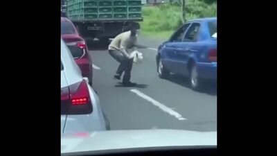 Словил цыпу на дороге