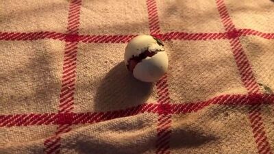 Video by Прикольные видео, фото и всякая забавная хрень