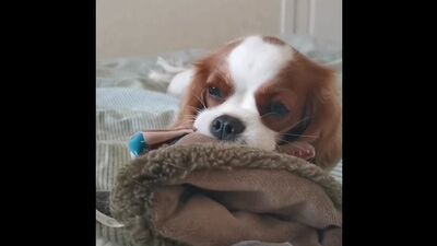 Video by ПЕРМЯКИ (Подслушано Пермь)