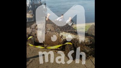 В Чебоксарах нашли влюблённых, пропавших 11 лет назад