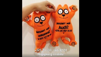 Кот Саймон в авто на присосках