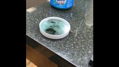 Жидкость для очистки и промывки ножей машинки для стрижки волос ;blrjcnm lkz jxbcnrb b ghjvsdrb yj;tq vfibyrb lkz cnhb;rb djkjc