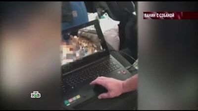 Панин и собака (18+)