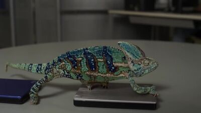 Забавный хамелеон меняет цвет - видео прикол