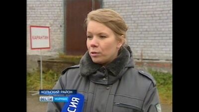 10.10.2019 ГТРК Мурман В Кольском Заполярье состоялась учебная тренировка по ликвидации вспышки гриппа птиц