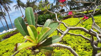 Обзор [ФВ] погода в Нячанге в феврале / отзывы 2018